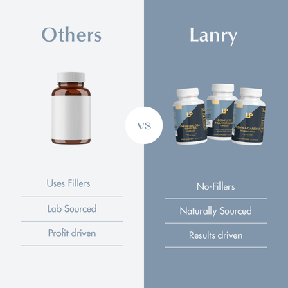 Health Optimization Bundle: